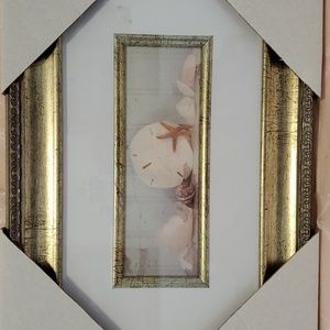 Nautical Ocean Sea Shell Picture